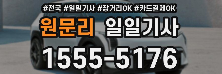 원문리 일일기사