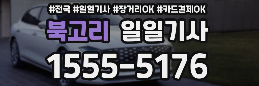 북고리 일일기사