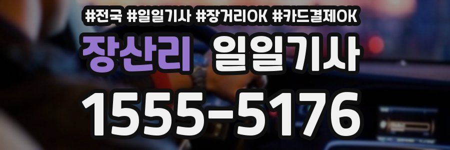 장산리 일일기사