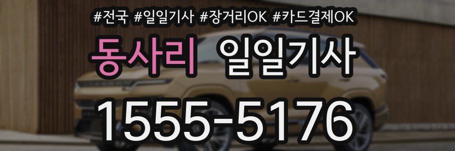 동사리 일일기사