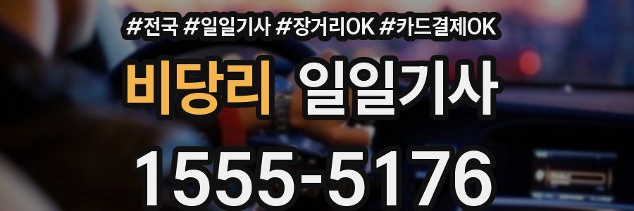 비당리 일일기사