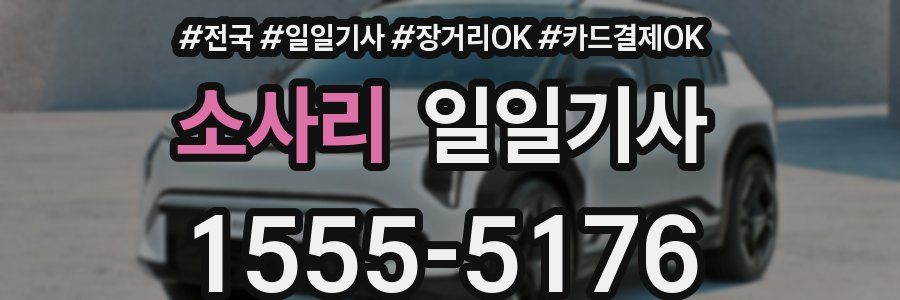 소사리 일일기사