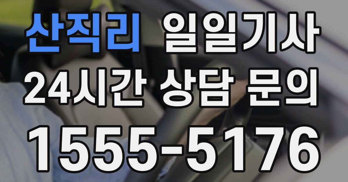 일일대리기사