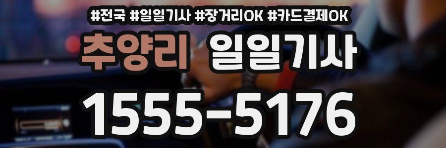 추양리 일일기사