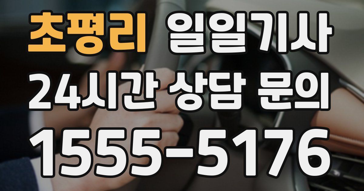 일일대리기사