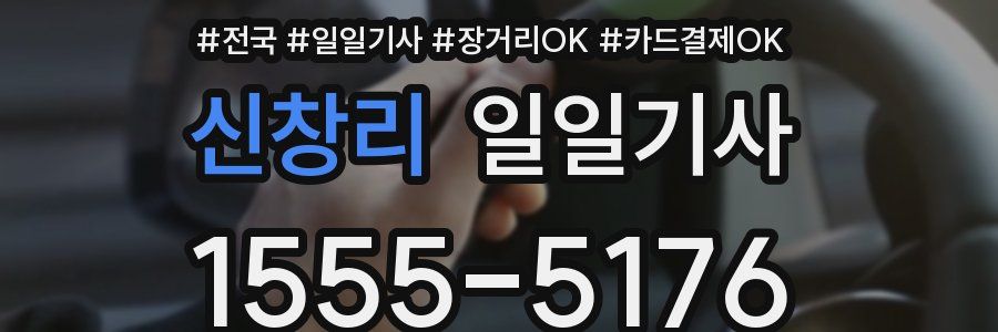 신창리 일일기사
