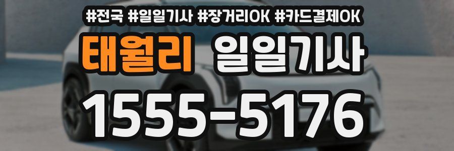 태월리 일일기사