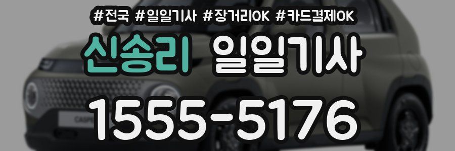 신송리 일일기사