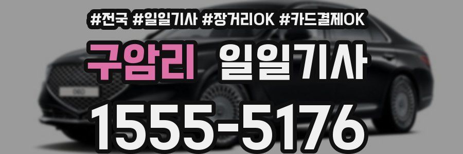구암리 일일기사