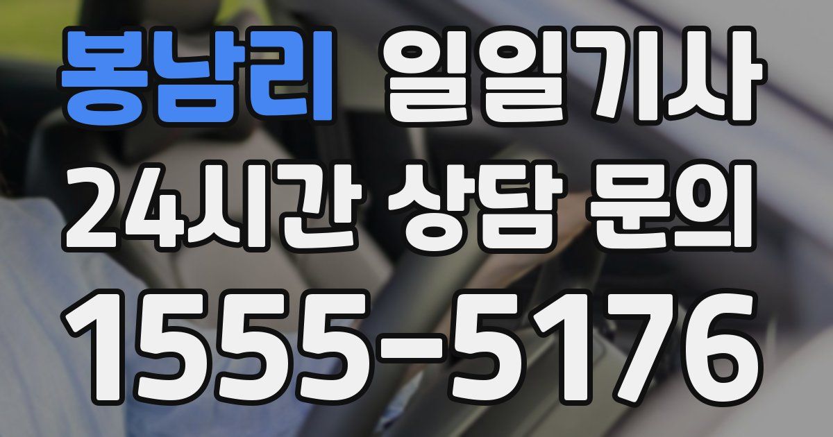 일일대리기사