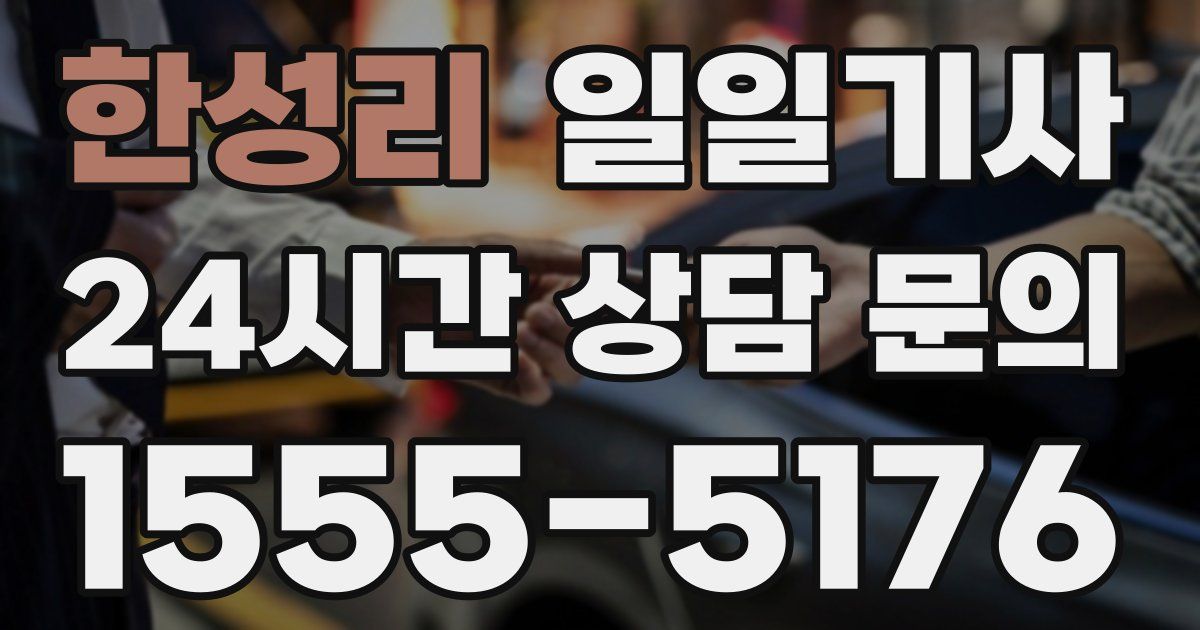 일일대리기사