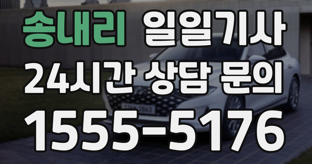일일대리기사