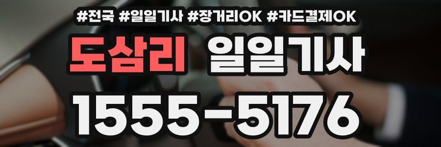 도삼리 일일기사