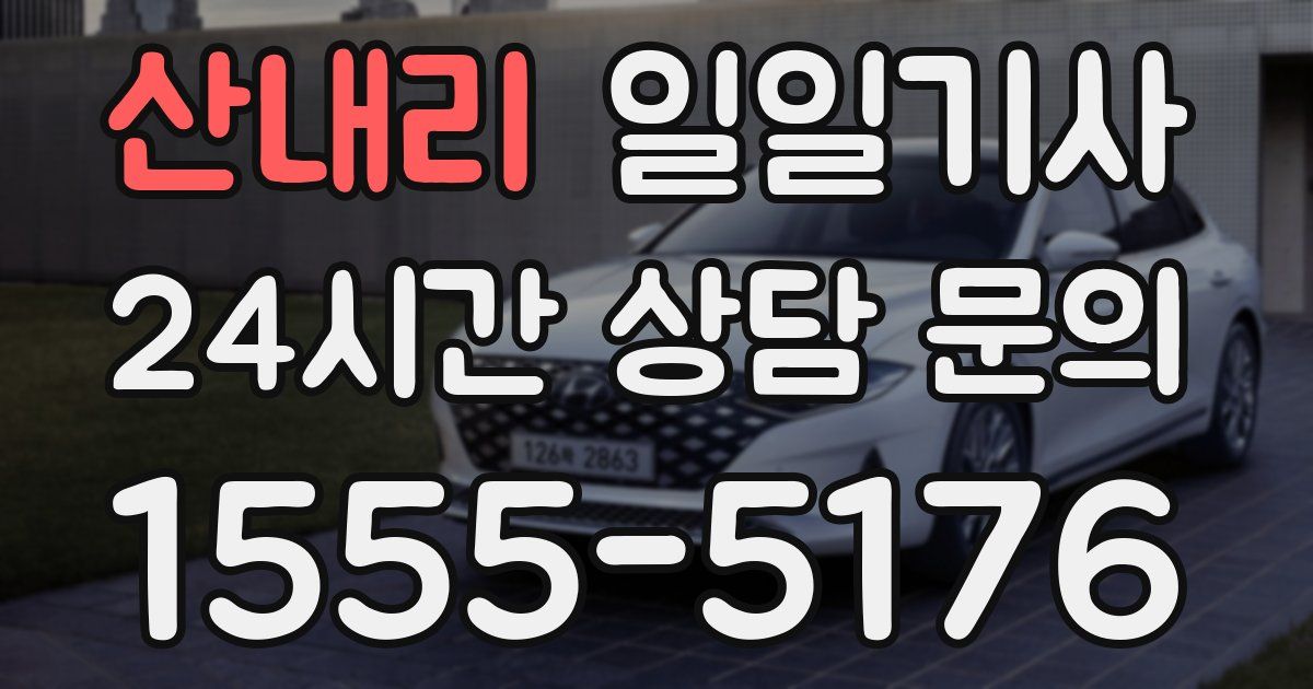일일대리기사