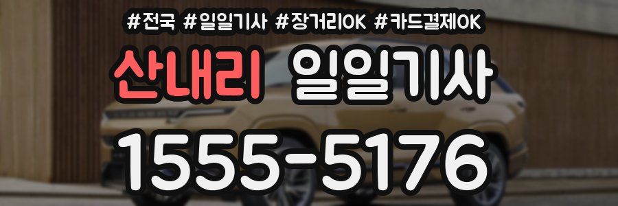 산내리 일일기사