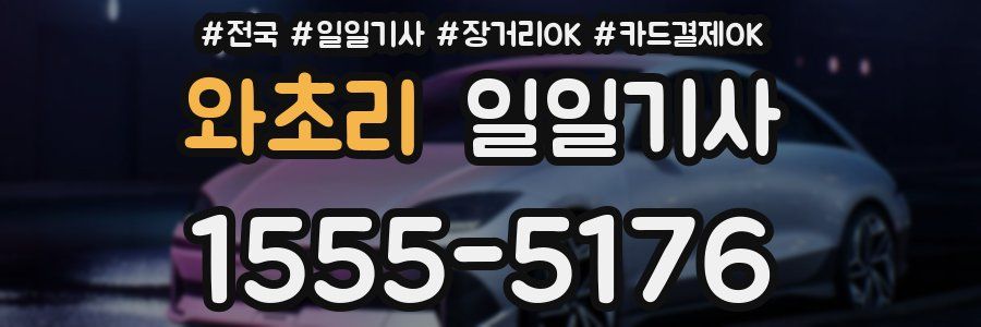 와초리 일일기사