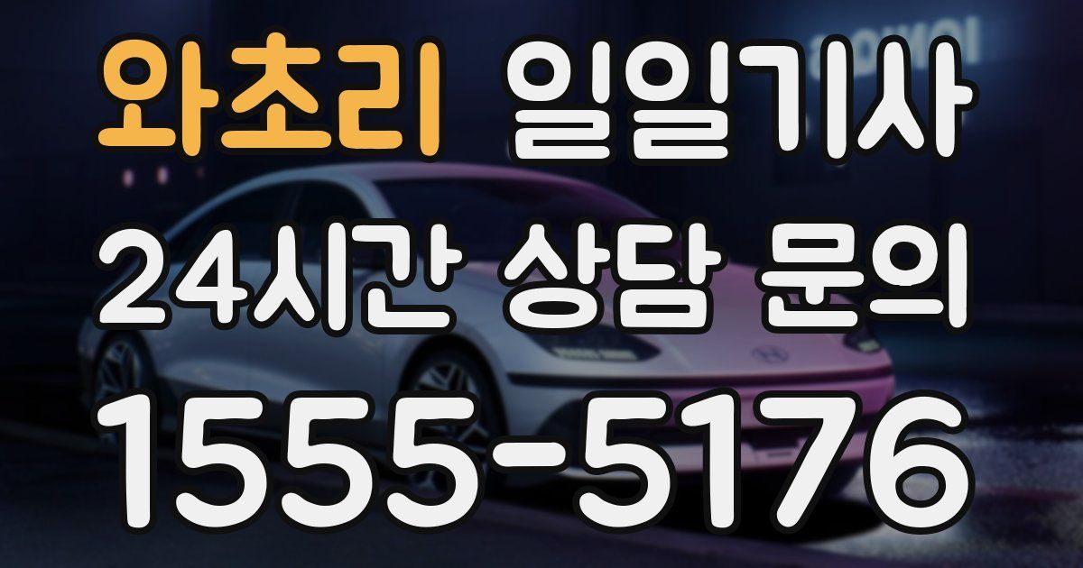 일일대리기사