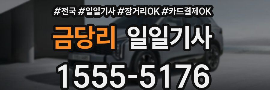 금당리 일일기사