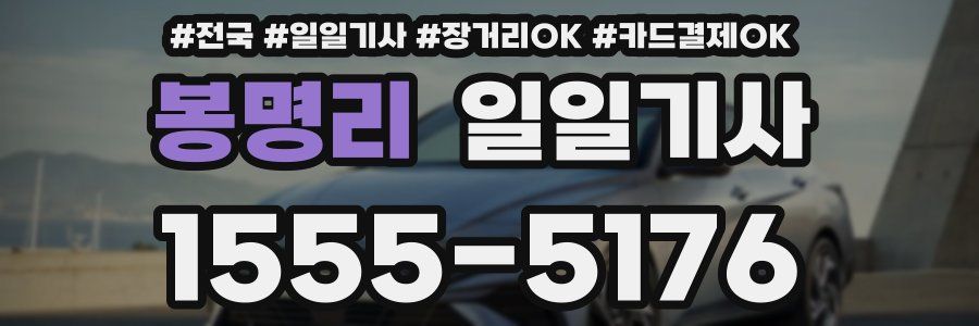 봉명리 일일기사