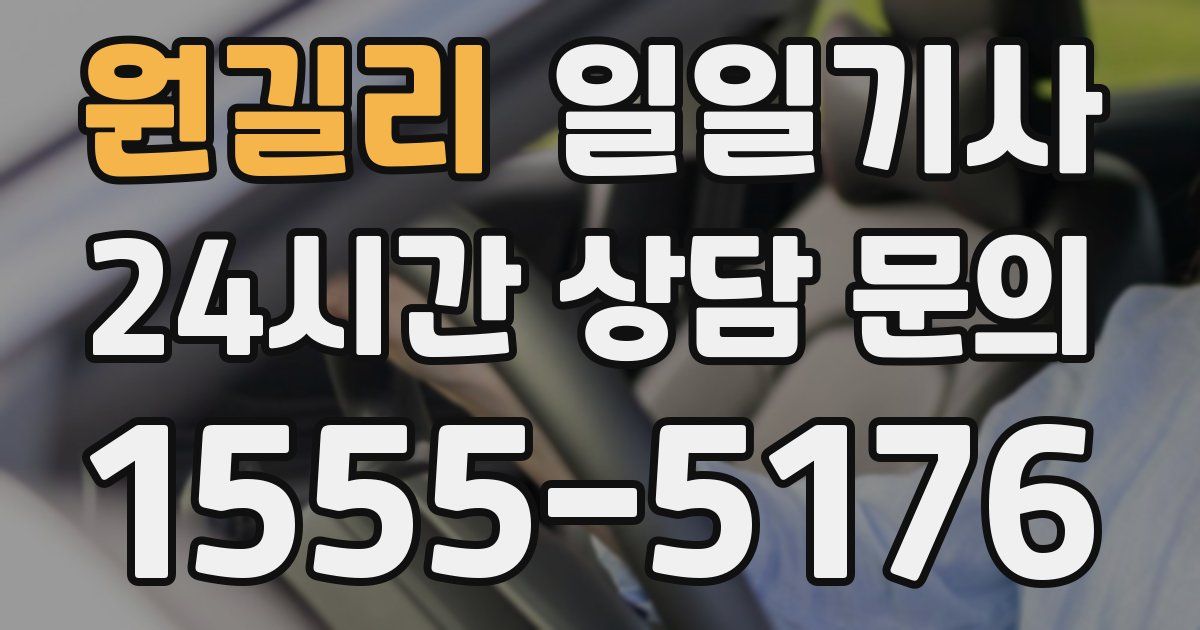 일일대리기사
