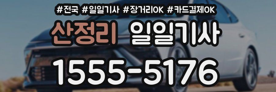 산정리 일일기사