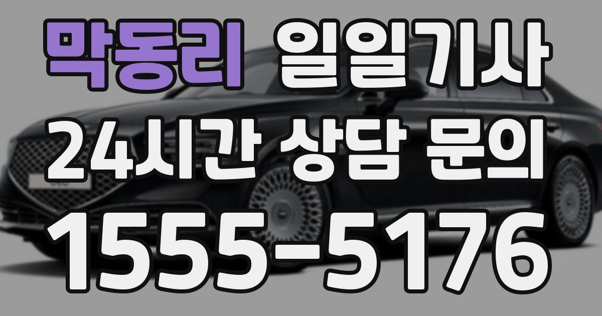 일일대리기사