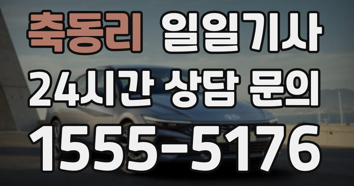 일일대리기사