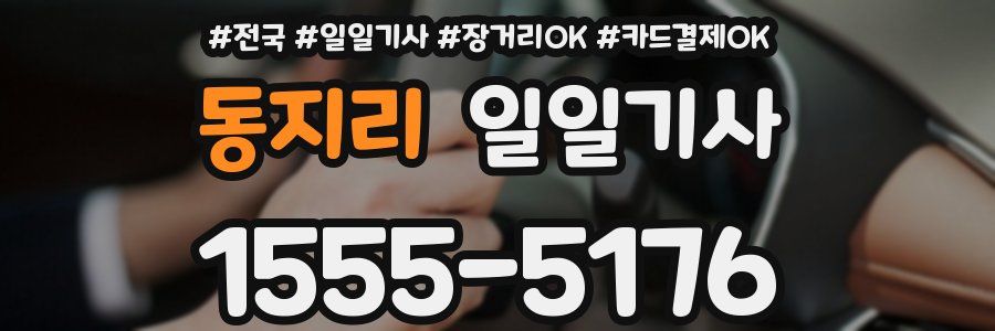 동지리 일일기사