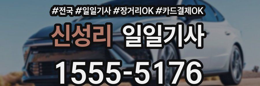 신성리 일일기사