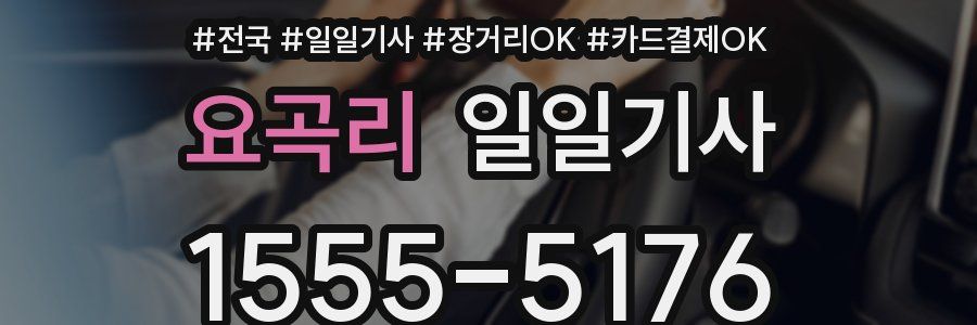 요곡리 일일기사