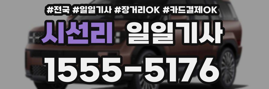 시선리 일일기사