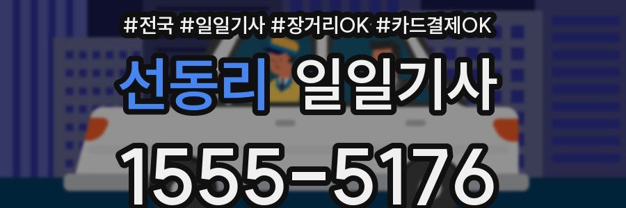 선동리 일일기사