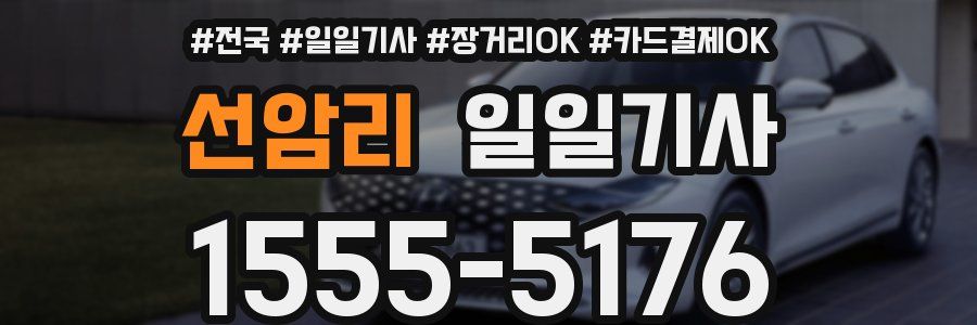 선암리 일일기사