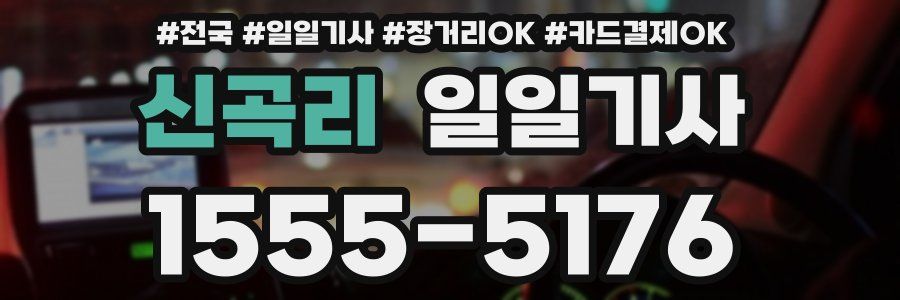 신곡리 일일기사