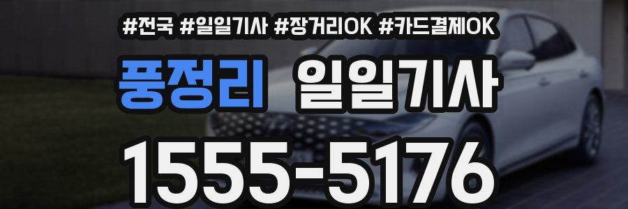 풍정리 일일기사
