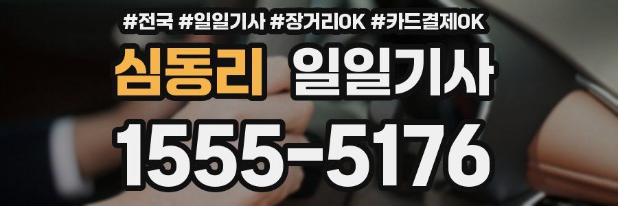 심동리 일일기사