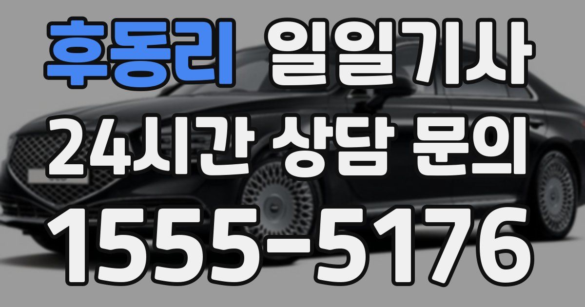 일일대리기사