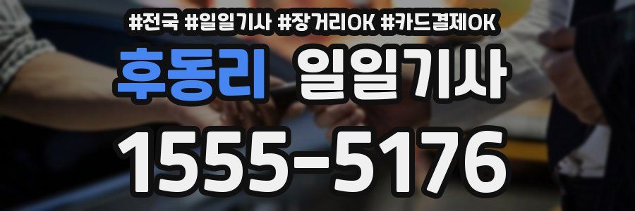 후동리 일일기사