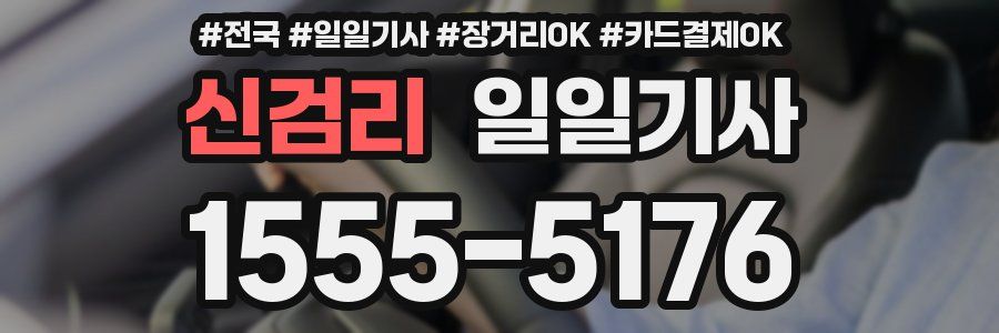 신검리 일일기사