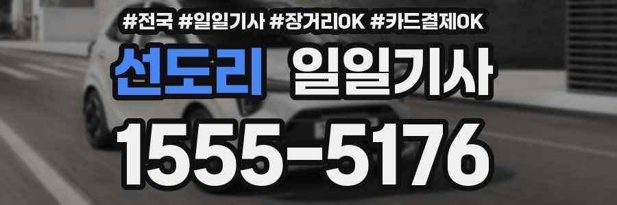 선도리 일일기사