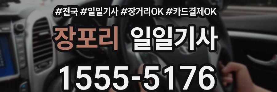 장포리 일일기사