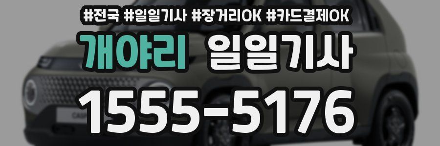 개야리 일일기사