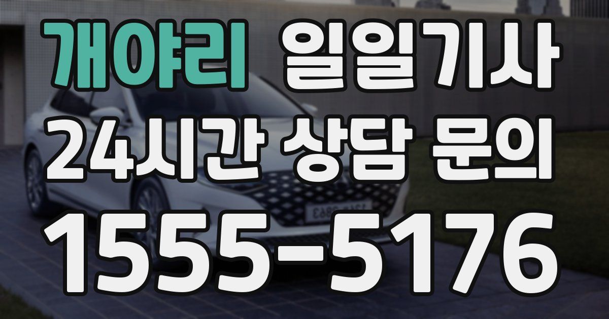 일일대리기사