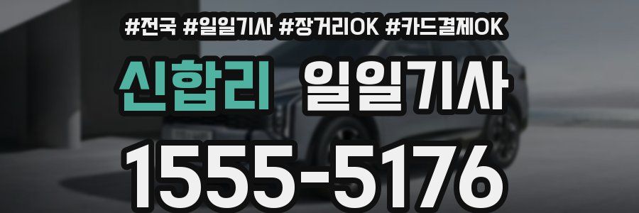 신합리 일일기사