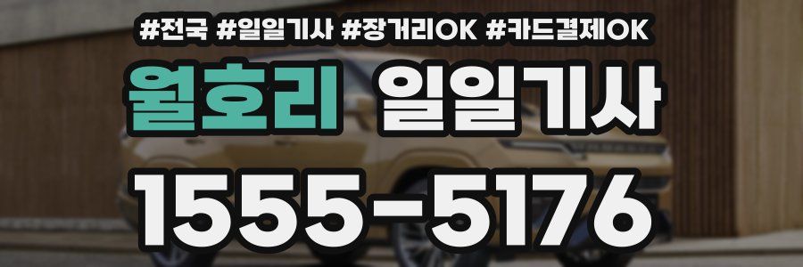 월호리 일일기사