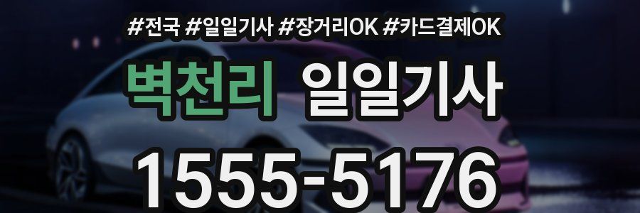 벽천리 일일기사