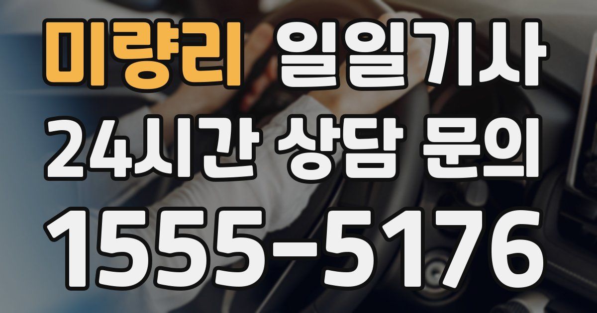 일일대리기사