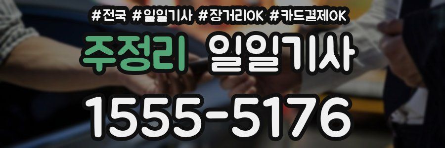 주정리 일일기사