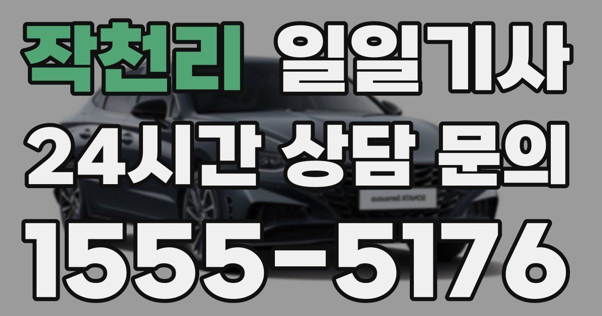 일일대리기사