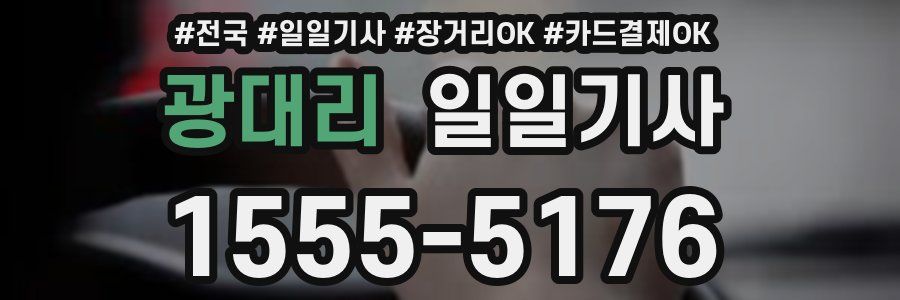 광대리 일일기사